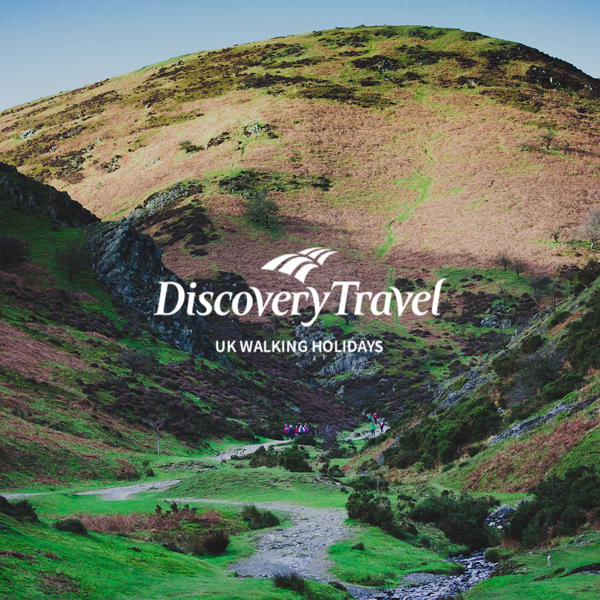 discovery travel reviews